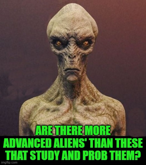 just asking | ARE THERE MORE ADVANCED ALIENS' THAN THESE THAT STUDY AND PROB THEM? | image tagged in aliens',advanced | made w/ Imgflip meme maker