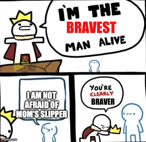 im the bravest man alive | I AM NOT AFRAID OF MOM'S SLIPPER | image tagged in im the bravest man alive | made w/ Imgflip meme maker