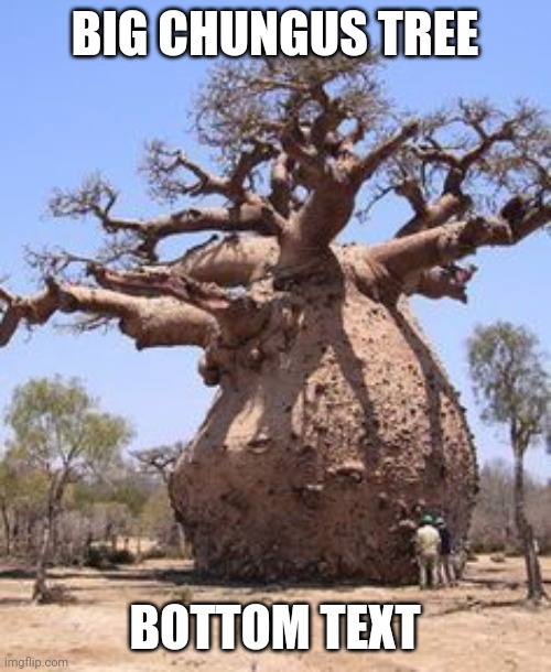 tree |  BIG CHUNGUS TREE; BOTTOM TEXT | image tagged in tree | made w/ Imgflip meme maker