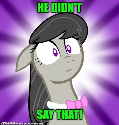 Shocked Octavia Melody | HE DIDN'T SAY THAT! | image tagged in shocked octavia melody | made w/ Imgflip meme maker