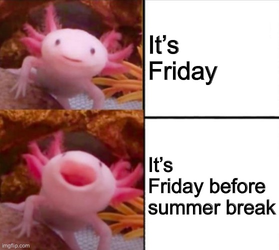 Can you relate? | It’s Friday; It’s Friday before summer break | image tagged in axolotl drake | made w/ Imgflip meme maker