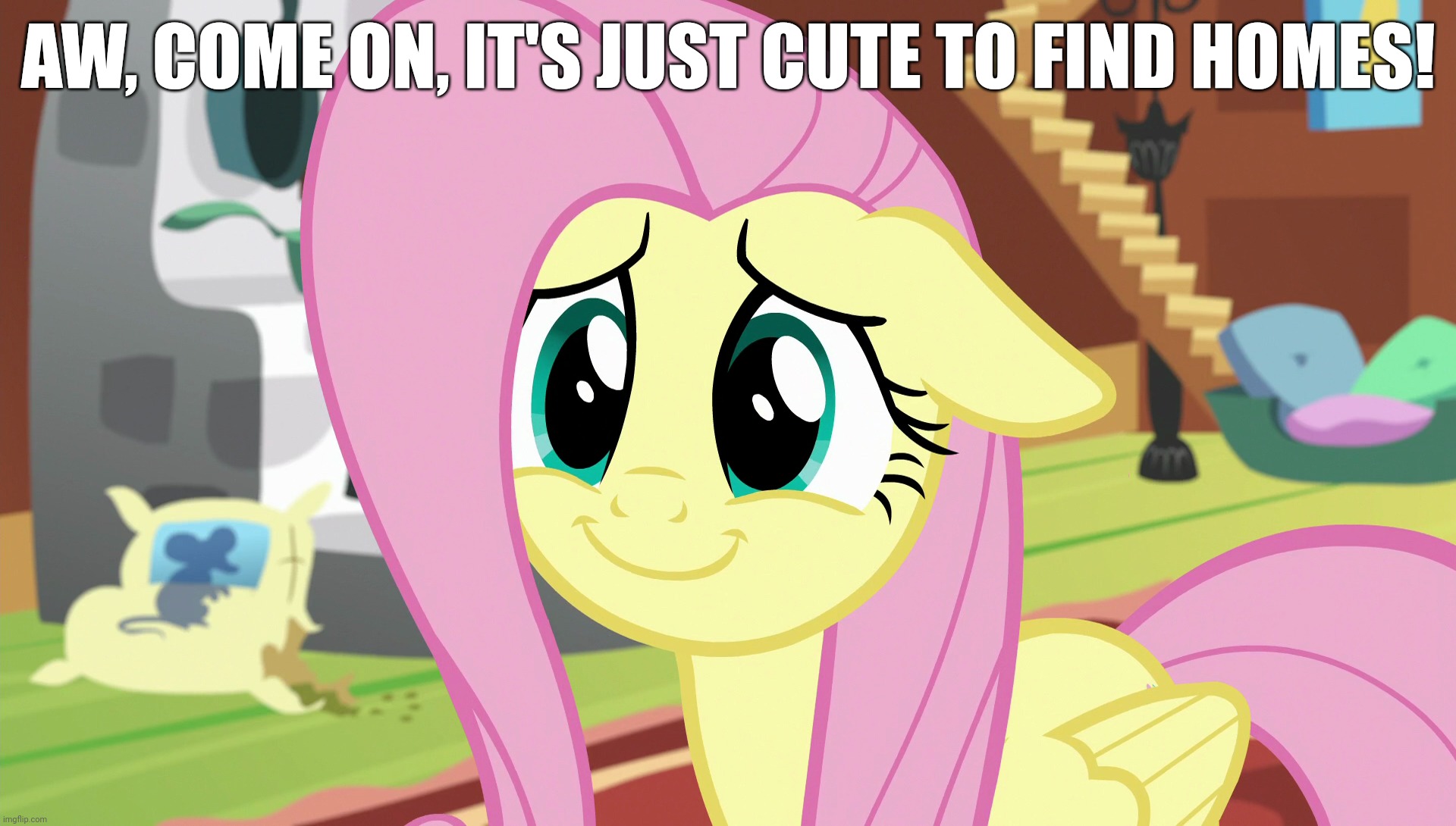 Shyabetes (MLP) | AW, COME ON, IT'S JUST CUTE TO FIND HOMES! | image tagged in shyabetes mlp | made w/ Imgflip meme maker