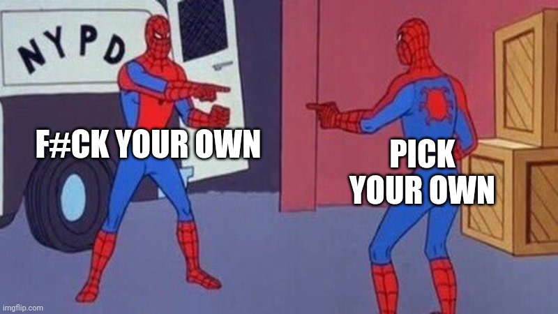 spiderman pointing at spiderman | F#CK YOUR OWN PICK YOUR OWN | image tagged in spiderman pointing at spiderman | made w/ Imgflip meme maker