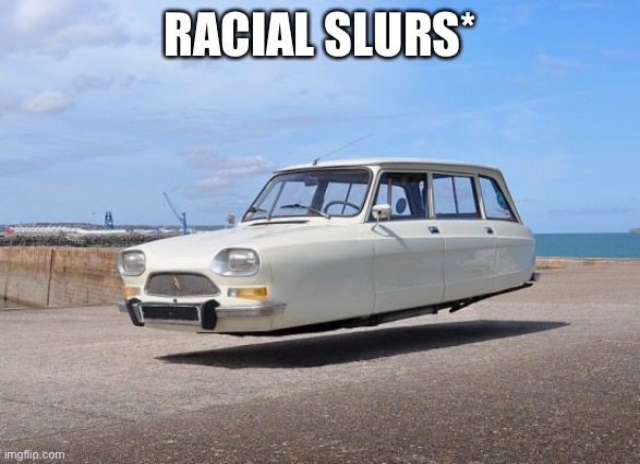 RACIAL SLURS* | image tagged in memes | made w/ Imgflip meme maker