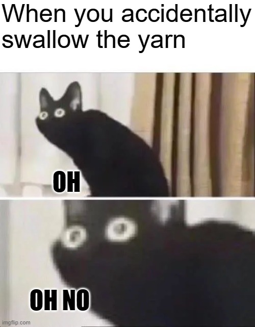 Ur gonna choke, kitty | When you accidentally swallow the yarn; OH; OH NO | image tagged in oh no black cat | made w/ Imgflip meme maker