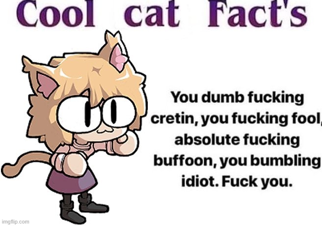 cool cat facts | image tagged in cool cat facts | made w/ Imgflip meme maker