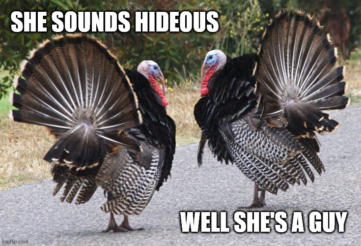 She sounds hideous | SHE SOUNDS HIDEOUS; WELL SHE'S A GUY | image tagged in turkey | made w/ Imgflip meme maker
