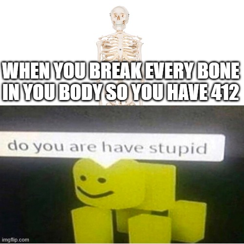  WHEN YOU BREAK EVERY BONE IN YOU BODY SO YOU HAVE 412 | image tagged in bones | made w/ Imgflip meme maker