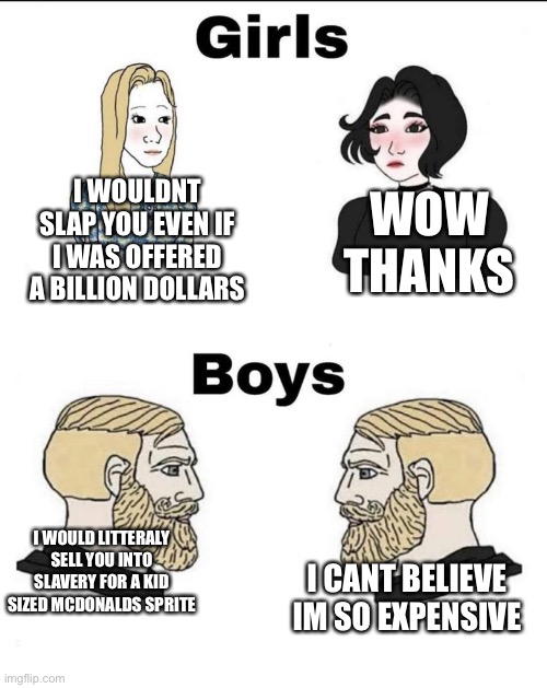 [good title here] | WOW THANKS; I WOULDNT SLAP YOU EVEN IF I WAS OFFERED A BILLION DOLLARS; I WOULD LITTERALY SELL YOU INTO SLAVERY FOR A KID SIZED MCDONALDS SPRITE; I CANT BELIEVE IM SO EXPENSIVE | image tagged in girls and boys conversation | made w/ Imgflip meme maker