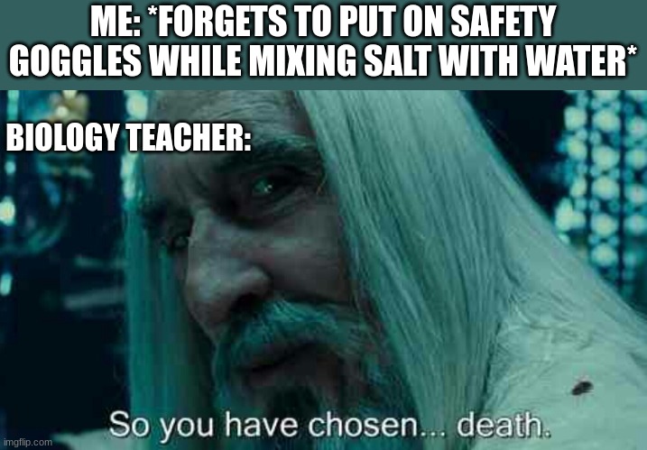 so you have chosen... death. | ME: *FORGETS TO PUT ON SAFETY GOGGLES WHILE MIXING SALT WITH WATER*; BIOLOGY TEACHER: | image tagged in so you have chosen death,science,safety,salt,water | made w/ Imgflip meme maker