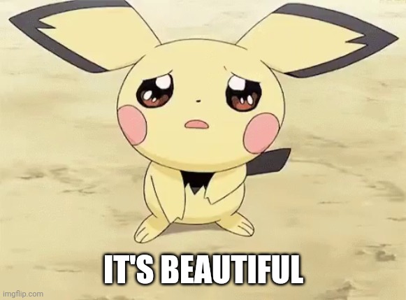 Sad pichu | IT'S BEAUTIFUL | image tagged in sad pichu | made w/ Imgflip meme maker