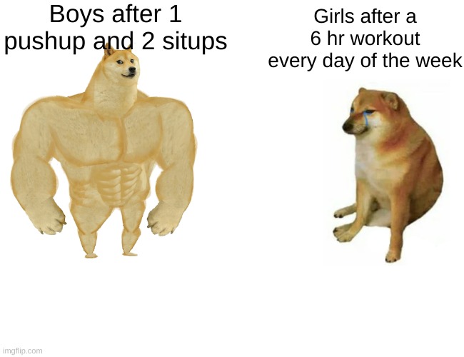 fax tho | Boys after 1 pushup and 2 situps; Girls after a 6 hr workout every day of the week | image tagged in memes,buff doge vs cheems | made w/ Imgflip meme maker