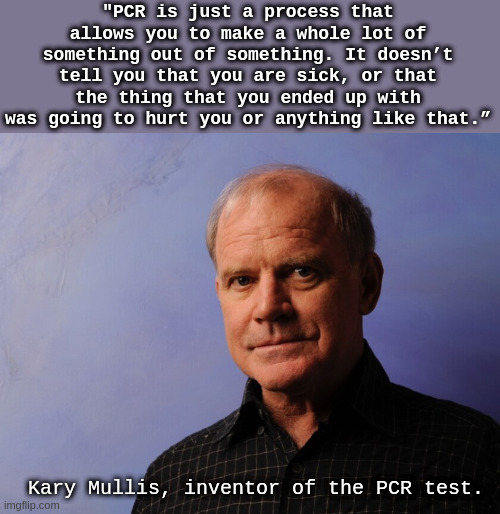 PCR test | "PCR is just a process that allows you to make a whole lot of something out of something. It doesn’t tell you that you are sick, or that the thing that you ended up with was going to hurt you or anything like that.”; Kary Mullis, inventor of the PCR test. | made w/ Imgflip meme maker