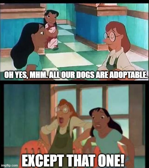 Oh yes, mhm. All our dogs are adoptable. | OH YES, MHM. ALL OUR DOGS ARE ADOPTABLE. EXCEPT THAT ONE! | image tagged in lilo and stitch | made w/ Imgflip meme maker