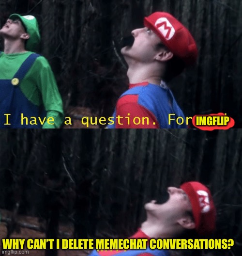 Frl why | IMGFLIP; WHY CAN’T I DELETE MEMECHAT CONVERSATIONS? | image tagged in why | made w/ Imgflip meme maker
