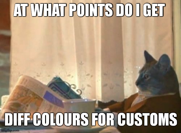 I Should Buy A Boat Cat | AT WHAT POINTS DO I GET; DIFF COLOURS FOR CUSTOMS | image tagged in memes,i should buy a boat cat | made w/ Imgflip meme maker
