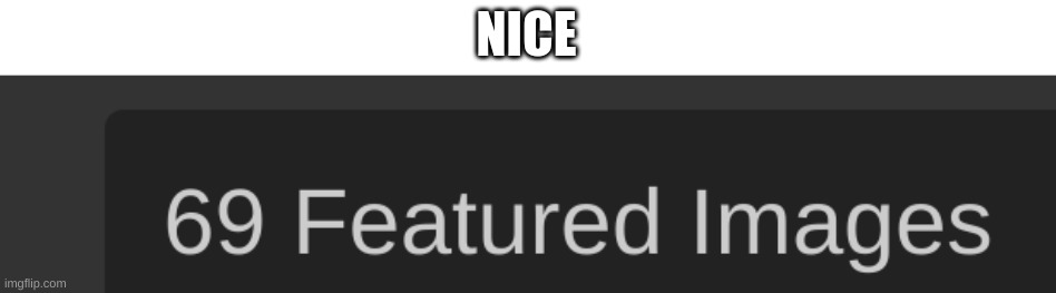 NICE | image tagged in tag | made w/ Imgflip meme maker