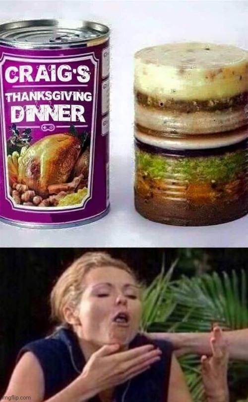 No Thanks giving | image tagged in about to puke,turkey,beer,well yes but actually no,what the hell happened here,take it easy | made w/ Imgflip meme maker