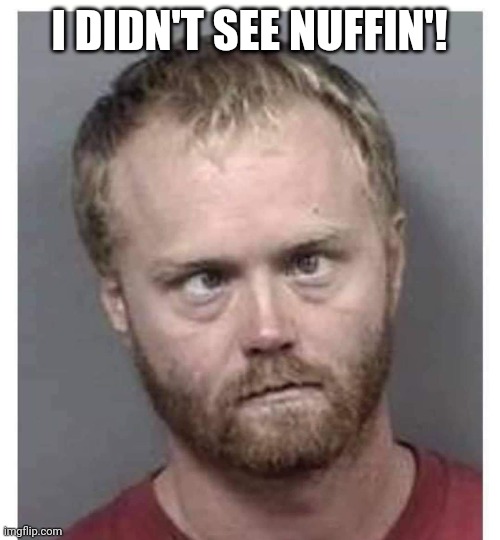I didn't see | I DIDN'T SEE NUFFIN'! | image tagged in i'm gonna pretend i didn't see that,jail,mugshot,it wasn't me | made w/ Imgflip meme maker