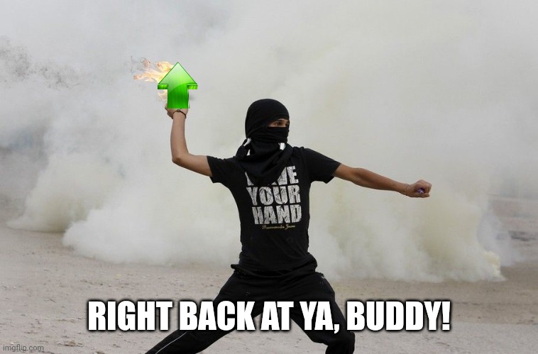 liberal molotov thrower | RIGHT BACK AT YA, BUDDY! | image tagged in liberal molotov thrower | made w/ Imgflip meme maker