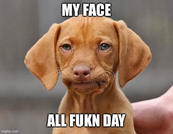 Disappointed Puppy | MY FACE; ALL FUKN DAY | image tagged in disappointed puppy | made w/ Imgflip meme maker