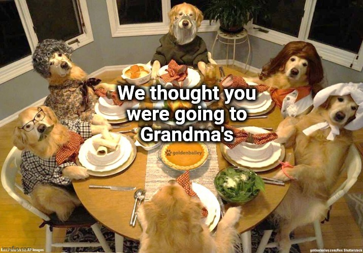 Home for the Holidays |  We thought you
were going to
Grandma's | image tagged in happy thanksgiving,stay home,visible confusion,home alone | made w/ Imgflip meme maker
