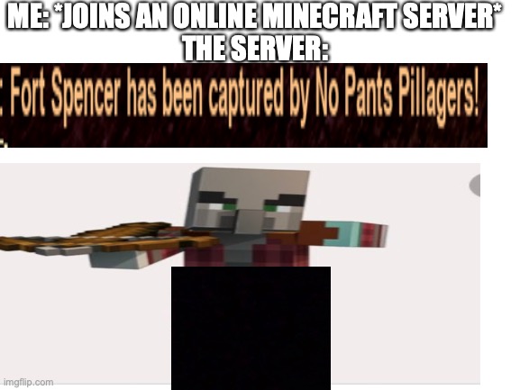 Minecraft.exe | ME: *JOINS AN ONLINE MINECRAFT SERVER*
THE SERVER: | image tagged in funny | made w/ Imgflip meme maker