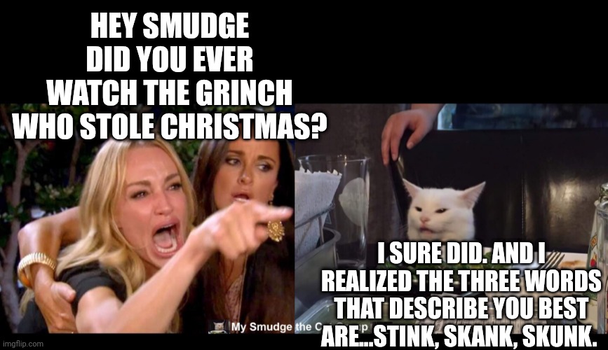 HEY SMUDGE DID YOU EVER WATCH THE GRINCH WHO STOLE CHRISTMAS? I SURE DID. AND I REALIZED THE THREE WORDS THAT DESCRIBE YOU BEST ARE...STINK, SKANK, SKUNK. | image tagged in smudge the cat | made w/ Imgflip meme maker