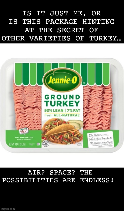 Aren’t they all GROUND turkeys?! | IS IT JUST ME, OR IS THIS PACKAGE HINTING AT THE SECRET OF OTHER VARIETIES OF TURKEY…; AIR? SPACE? THE POSSIBILITIES ARE ENDLESS! | image tagged in puns,funny | made w/ Imgflip meme maker