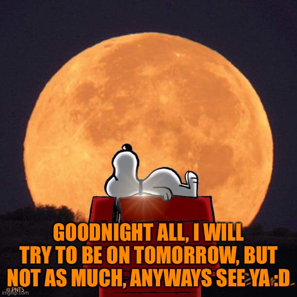 Goodnight :) | GOODNIGHT ALL, I WILL TRY TO BE ON TOMORROW, BUT NOT AS MUCH, ANYWAYS SEE YA :D | image tagged in goodnight | made w/ Imgflip meme maker