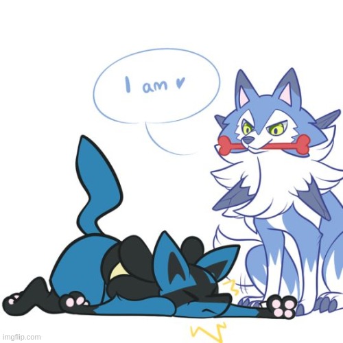 coot | made w/ Imgflip meme maker