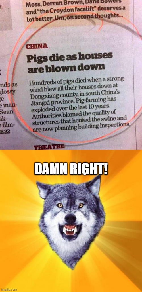 Huff n Puff | DAMN RIGHT! | image tagged in memes,courage wolf | made w/ Imgflip meme maker
