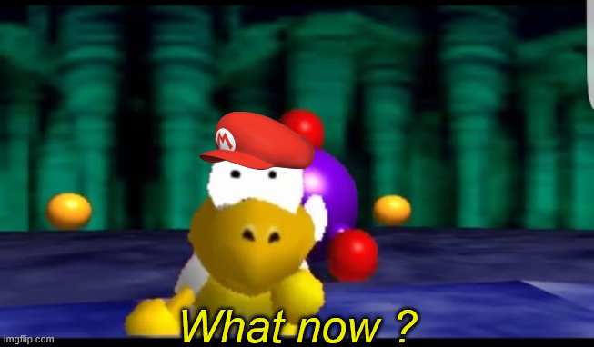Scared Koopa 2.0 | What now ? | image tagged in scared koopa 2 0 | made w/ Imgflip meme maker