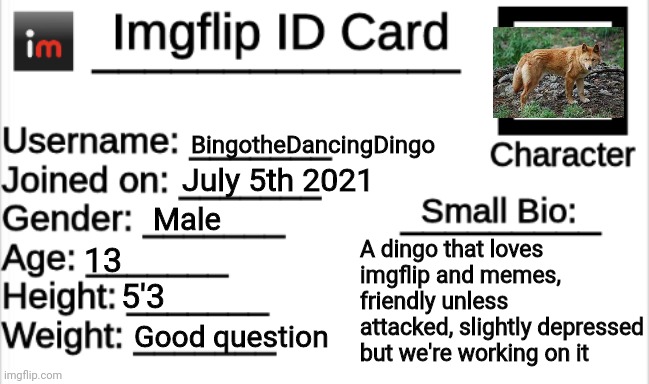 Imgflip ID Card | BingotheDancingDingo; July 5th 2021; Male; A dingo that loves imgflip and memes, friendly unless attacked, slightly depressed but we're working on it; 13; 5'3; Good question | image tagged in imgflip id card | made w/ Imgflip meme maker