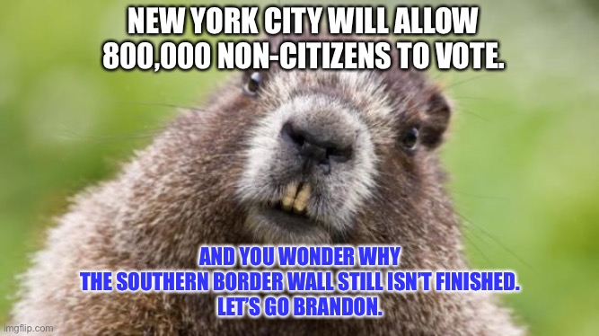 Power grab in NYC | NEW YORK CITY WILL ALLOW 800,000 NON-CITIZENS TO VOTE. AND YOU WONDER WHY
THE SOUTHERN BORDER WALL STILL ISN’T FINISHED.
LET’S GO BRANDON. | image tagged in mr beaver,memes,new york city,democrats,illegal aliens,brandon | made w/ Imgflip meme maker