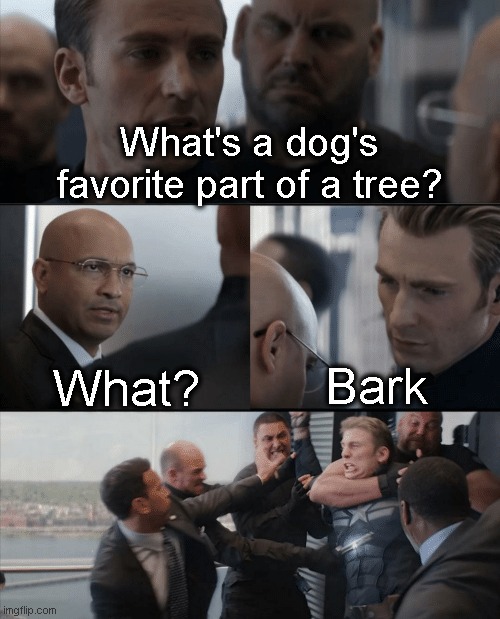 b  o  r  k |  What's a dog's favorite part of a tree? What? Bark | image tagged in captain america elevator fight,bork,barking,wood,tree,among us sus | made w/ Imgflip meme maker