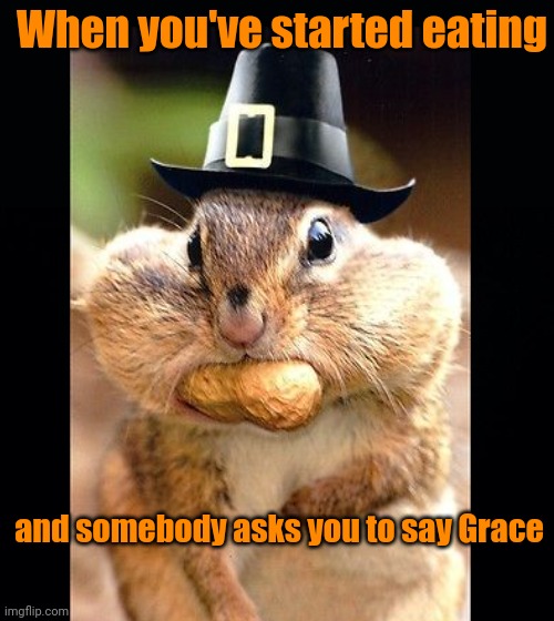 Good bread, good meat, thank the gods, let's eat! | When you've started eating; and somebody asks you to say Grace | image tagged in black background,chipmunk,thanksgiving,funny,cute animals | made w/ Imgflip meme maker