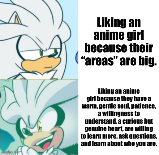If you know the difference, it’ll save your relationship if you do end up in the world of anime. | Liking an anime girl because their “areas” are big. Liking an anime girl because they have a warm, gentle soul, patience, a willingness to understand, a curious but genuine heart, are willing to learn more, ask questions, and learn about who you are. | image tagged in silver drake template,memes,anime,anime girl,know the difference | made w/ Imgflip meme maker