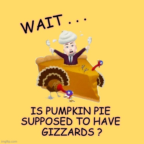 Turkey Feather Pie |  IS PUMPKIN PIE 
SUPPOSED TO HAVE 
GIZZARDS ? | image tagged in thanksgiving,pie,turkey,pumpkin pie,pumpkin spice,wait what | made w/ Imgflip meme maker