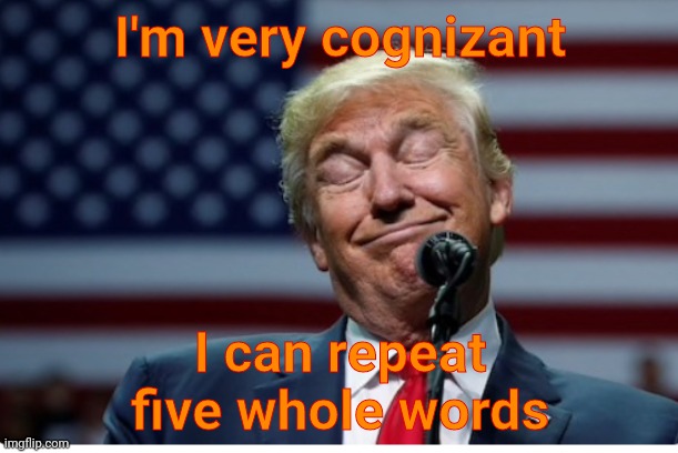 Trump Idiot | I'm very cognizant I can repeat five whole words | image tagged in trump idiot | made w/ Imgflip meme maker