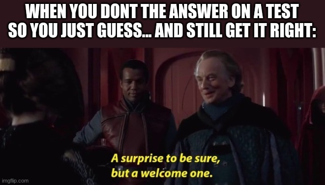 a surprise to be sure but a welcome one | WHEN YOU DONT THE ANSWER ON A TEST SO YOU JUST GUESS... AND STILL GET IT RIGHT: | image tagged in a surprise to be sure,memes,test,school,guess,right | made w/ Imgflip meme maker