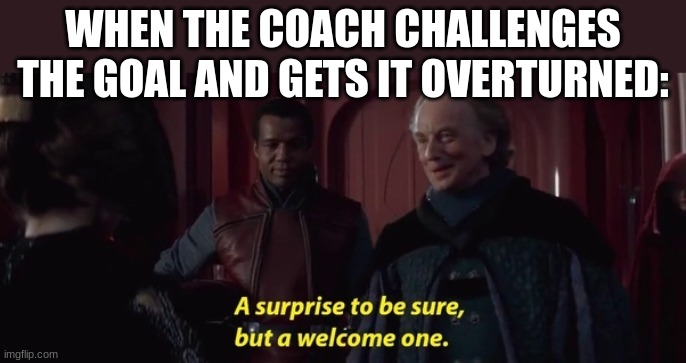 ice hockey meme | WHEN THE COACH CHALLENGES THE GOAL AND GETS IT OVERTURNED: | image tagged in a surprise to be sure,hockey,ice hockey,referee,coach | made w/ Imgflip meme maker