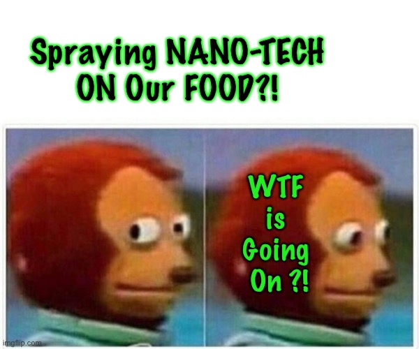 This IS, and WILL BE Contaminating our Food Supply.  Unless we insist:  NO WAY! | Spraying NANO-TECH
ON Our FOOD?! WTF 
is 
Going 
On ?! | image tagged in memes,monkey puppet,nano,particles,to destroy your natural body and mind,to track and control you | made w/ Imgflip meme maker