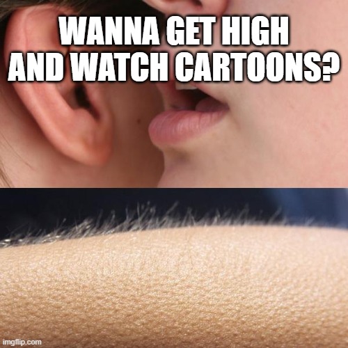 Whisper and Goosebumps |  WANNA GET HIGH AND WATCH CARTOONS? | image tagged in whisper and goosebumps | made w/ Imgflip meme maker