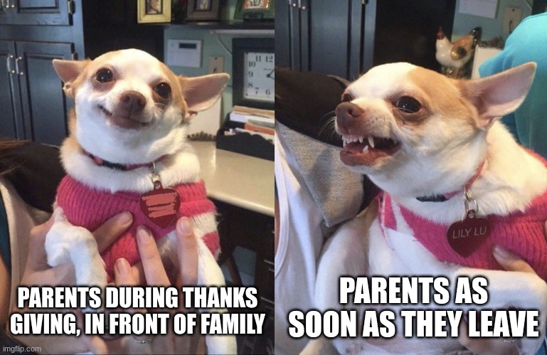 relatable, anyone? |  PARENTS DURING THANKS GIVING, IN FRONT OF FAMILY; PARENTS AS SOON AS THEY LEAVE | image tagged in smiling dog angry dog,memes,thanksgiving,parents,family | made w/ Imgflip meme maker
