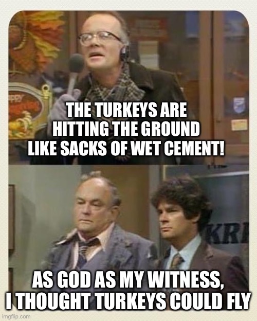 WKRP Thanksgiving Turkey Drop | THE TURKEYS ARE HITTING THE GROUND LIKE SACKS OF WET CEMENT! AS GOD AS MY WITNESS, I THOUGHT TURKEYS COULD FLY | image tagged in wkrp,thanksgiving,turkey,funny,happy holidays | made w/ Imgflip meme maker
