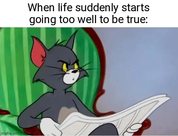:P | When life suddenly starts going too well to be true: | image tagged in tom reading newspaper | made w/ Imgflip meme maker