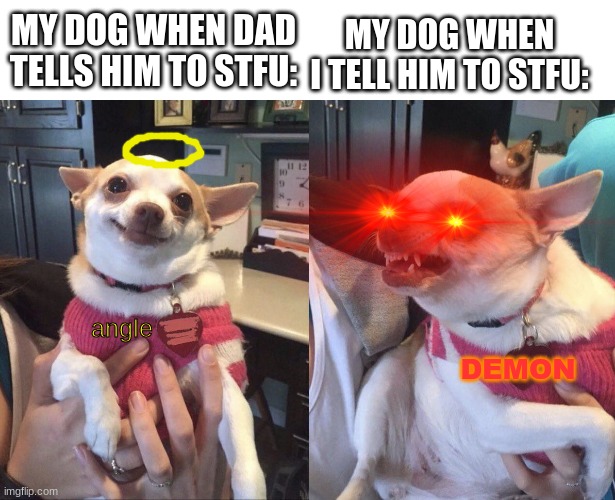 choowawa | MY DOG WHEN DAD TELLS HIM TO STFU:; MY DOG WHEN I TELL HIM TO STFU:; DEMON; angle | image tagged in smiling dog angry dog,memes,dad,me,dog,stfu | made w/ Imgflip meme maker