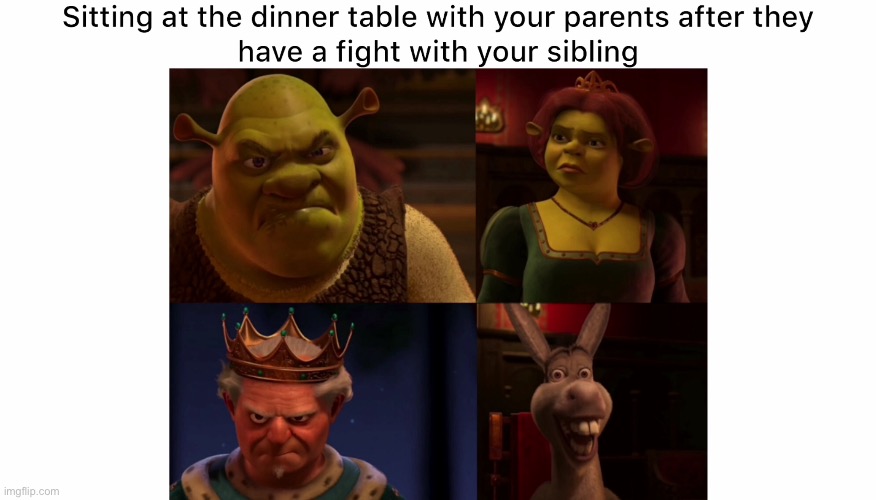 image tagged in funny,memes,fun,shrek,relatable | made w/ Imgflip meme maker