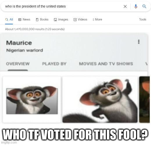 the president of the united states of america | WHO TF VOTED FOR THIS FOOL? | image tagged in blank white template,president,madagascar,google search,google chrome | made w/ Imgflip meme maker